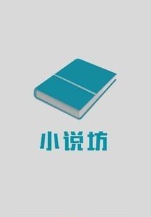 小说坊电子书阅读器