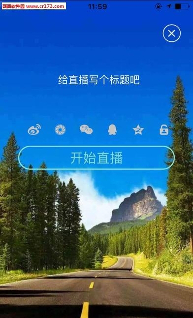 巨典直播