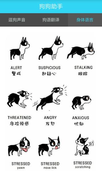 狗狗助手  v1.0图4