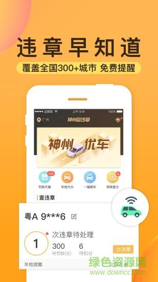 神州查违章  v1.0.0图1