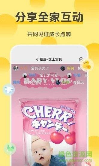 芝士宝贝