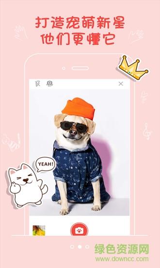 宠仔圈  v1.2.0图1