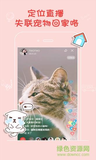 宠仔圈  v1.2.0图2
