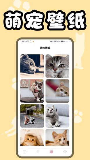 猫猫翻译器  v1.1图2