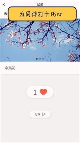 小鱼点打卡  v1.0.3图4