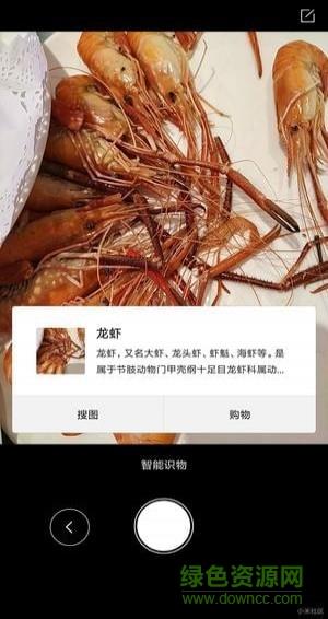 小米智能识物  v0.8.0图1