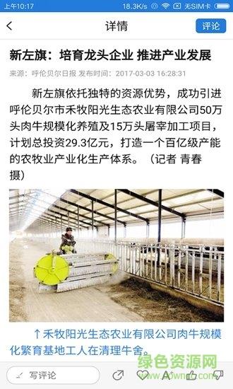 魅力新左旗