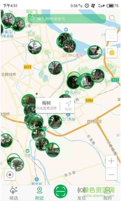 广东古树名木