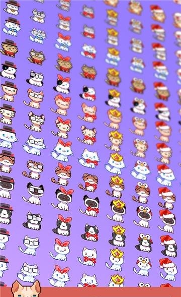 暖暖喵星人  v1.01图1