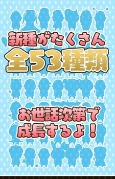 小小欧吉桑精灵培育箱  v3.1.0图3
