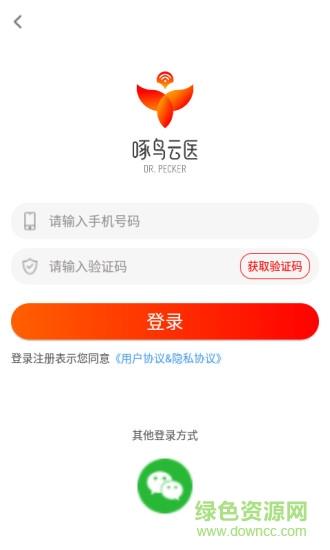 啄鸟云医
