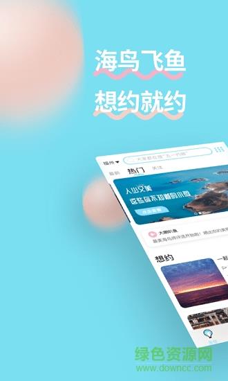 海鸟飞鱼  v1.3.0图3
