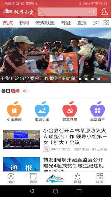 纯净小金