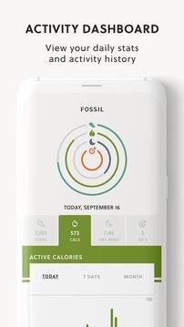 Fossil Q  v4.5.0图2