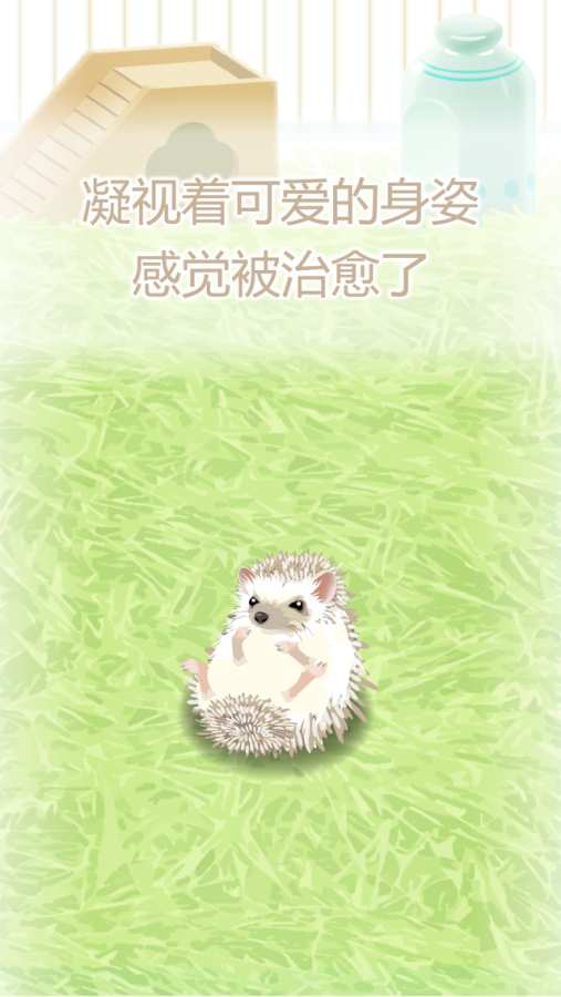 治愈的猬育成  v1.2图3