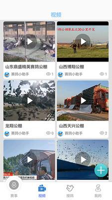赛鸽助手  v3.6.0图3
