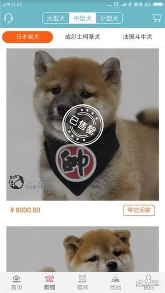 宝贝它  v1.0.2图2