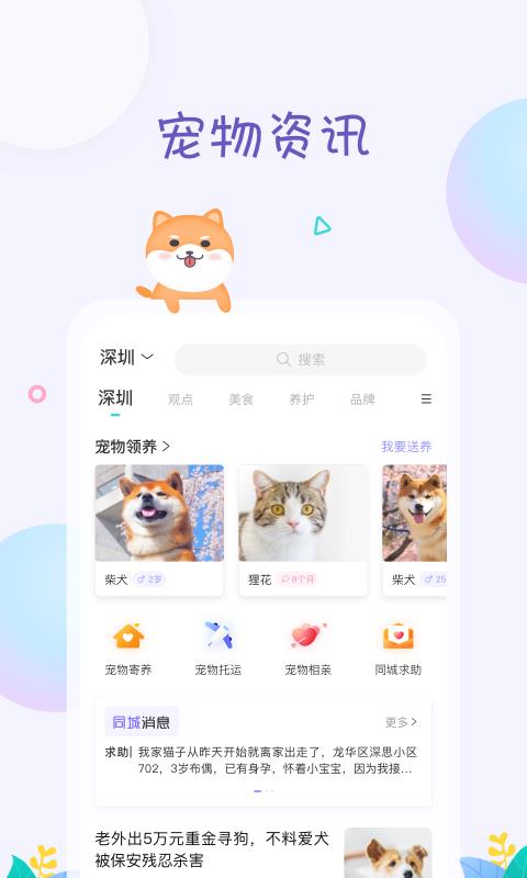 萌宠身边事