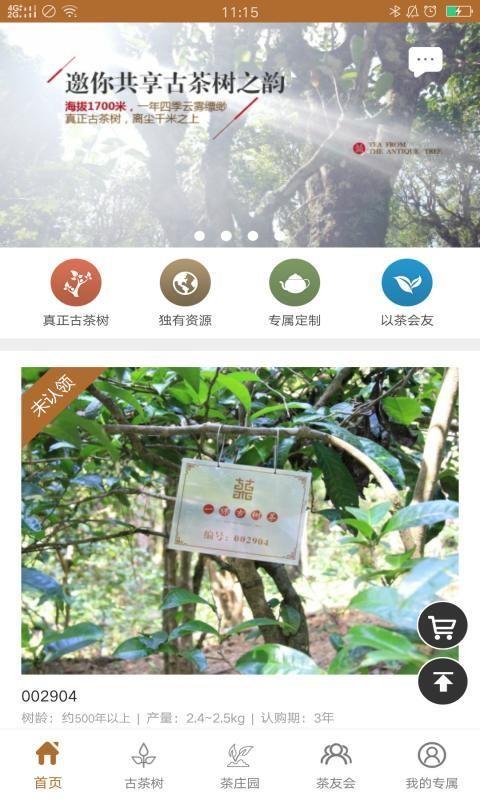 一棵古树茶  v2.4.1图2