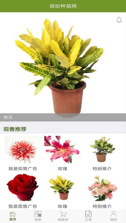 缤纷种苗  v1.1图4