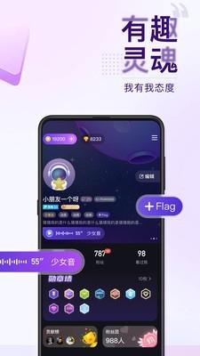 Flag  v1.5.10图5