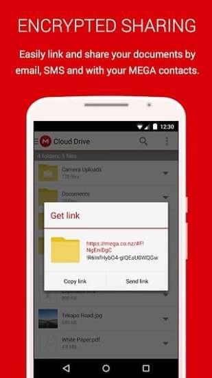 mega云盘  v3.0.12图1
