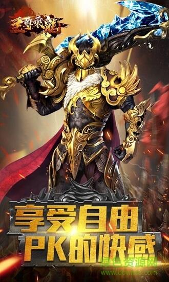 至尊乘龙