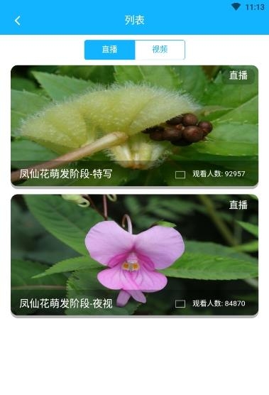 科米探索  v1.3图3