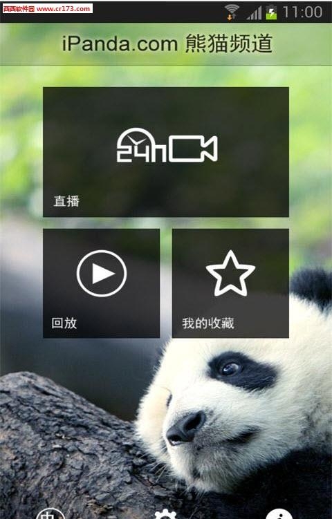 ipanda熊猫频道