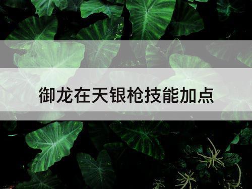 御龙在天银枪技能加点