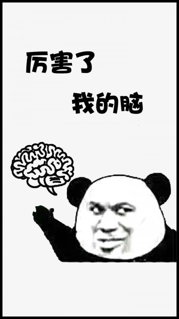 厉害了我的脑  v1.1图2