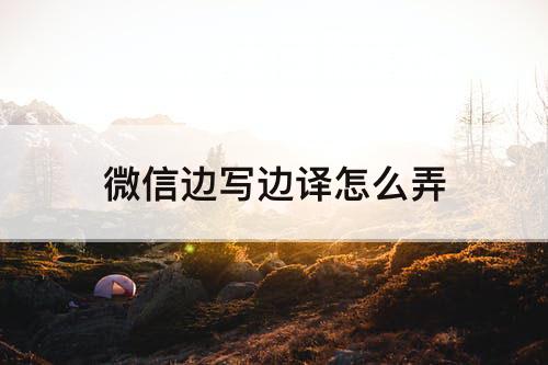 微信边写边译怎么弄
