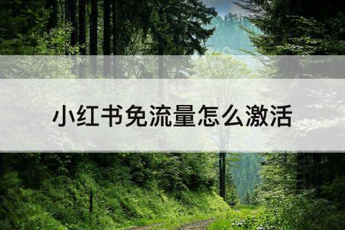 小红书免流量怎么激活