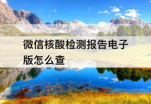 微信核酸检测报告电子版怎么查