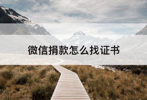 微信捐款怎么找证书