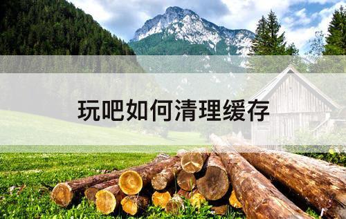玩吧如何清理缓存