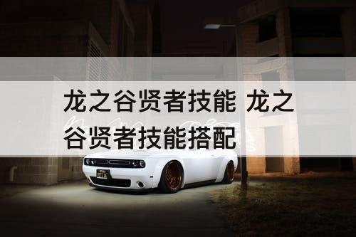 龙之谷贤者技能 龙之谷贤者技能搭配