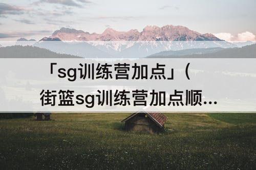 「sg训练营加点」(街篮sg训练营加点顺序)