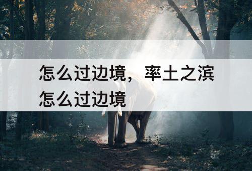 怎么过边境，率土之滨怎么过边境