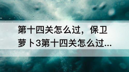 第十四关怎么过，保卫萝卜3第十四关怎么过集市