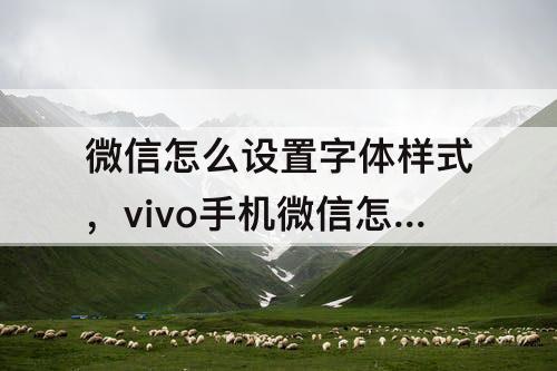 微信怎么设置字体样式，vivo手机微信怎么设置字体样式