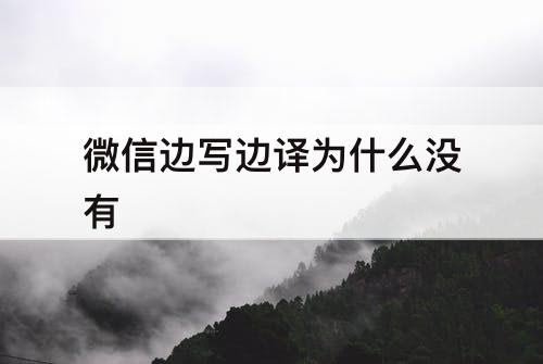 微信边写边译为什么没有