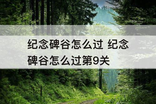 纪念碑谷怎么过 纪念碑谷怎么过第9关