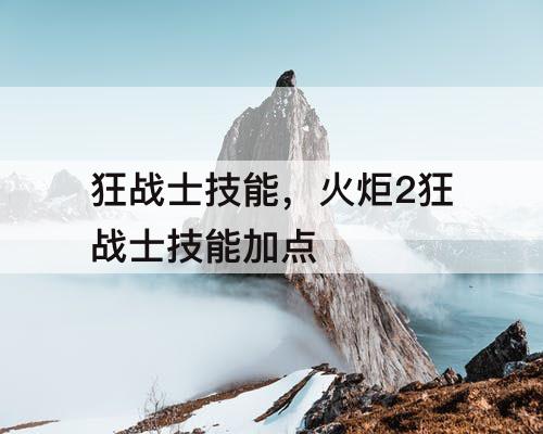 狂战士技能，火炬2狂战士技能加点