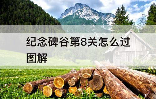 纪念碑谷第8关怎么过图解