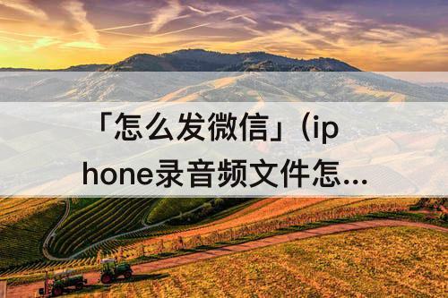 「怎么发微信」(iphone录音频文件怎么发微信)