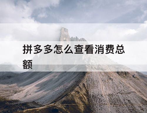 拼多多怎么查看消费总额