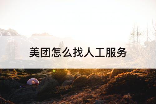 美团怎么找人工服务