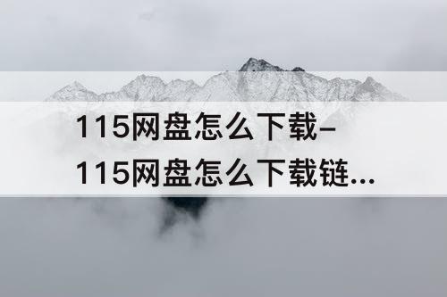 115网盘怎么下载-115网盘怎么下载链接