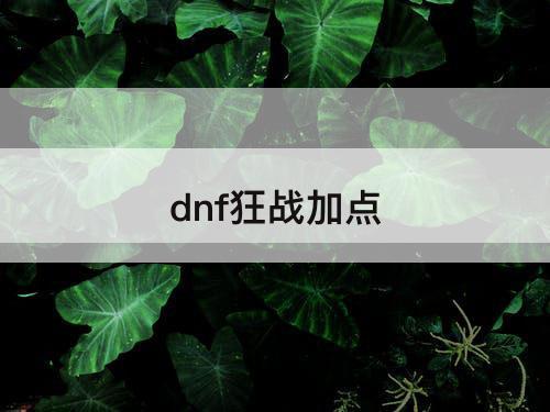 dnf狂战加点